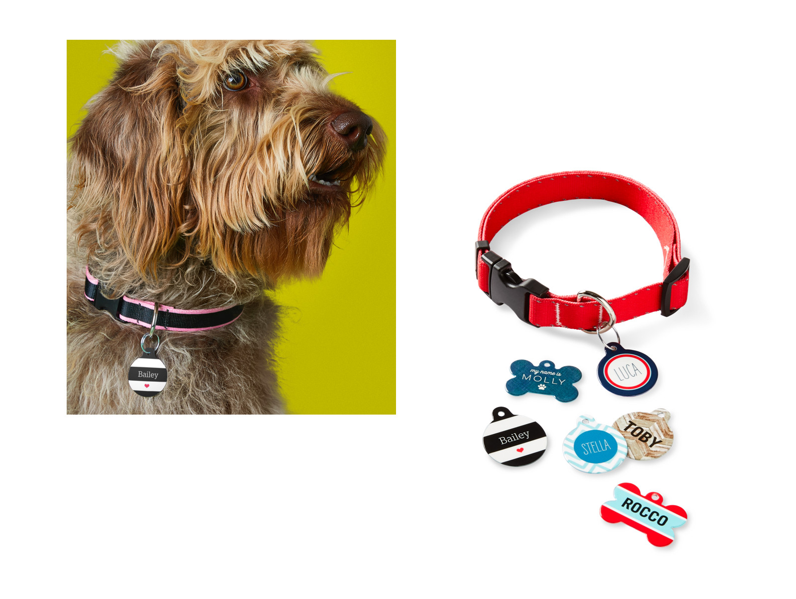 shutterfly free dog tag