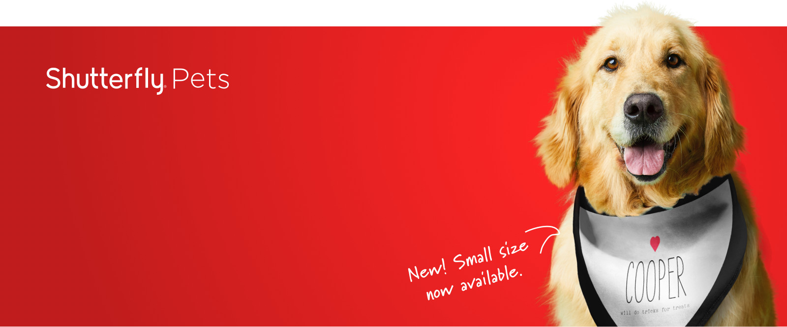 shutterfly free dog tag